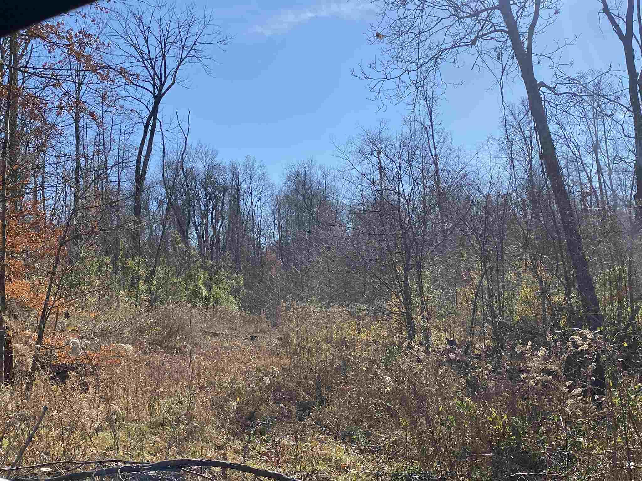 0 Stockton Road Coal City, IN 47427 - Photo 6 of 10