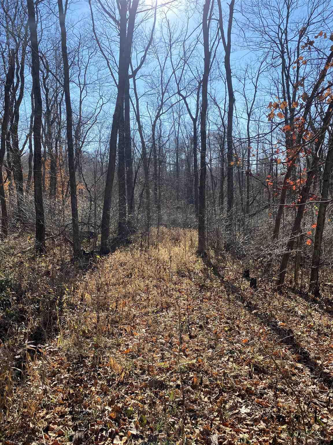 0 Stockton Road Coal City, IN 47427 - Photo 9 of 10