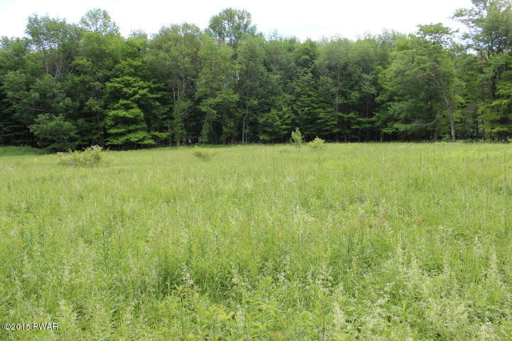 1049 Swoyer Road Lake Ariel, PA 18436 - Photo 27 of 31