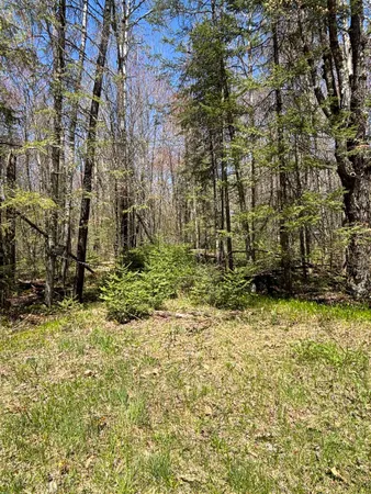 $35,000 | Vascheau Road, Gleason, WI 54435