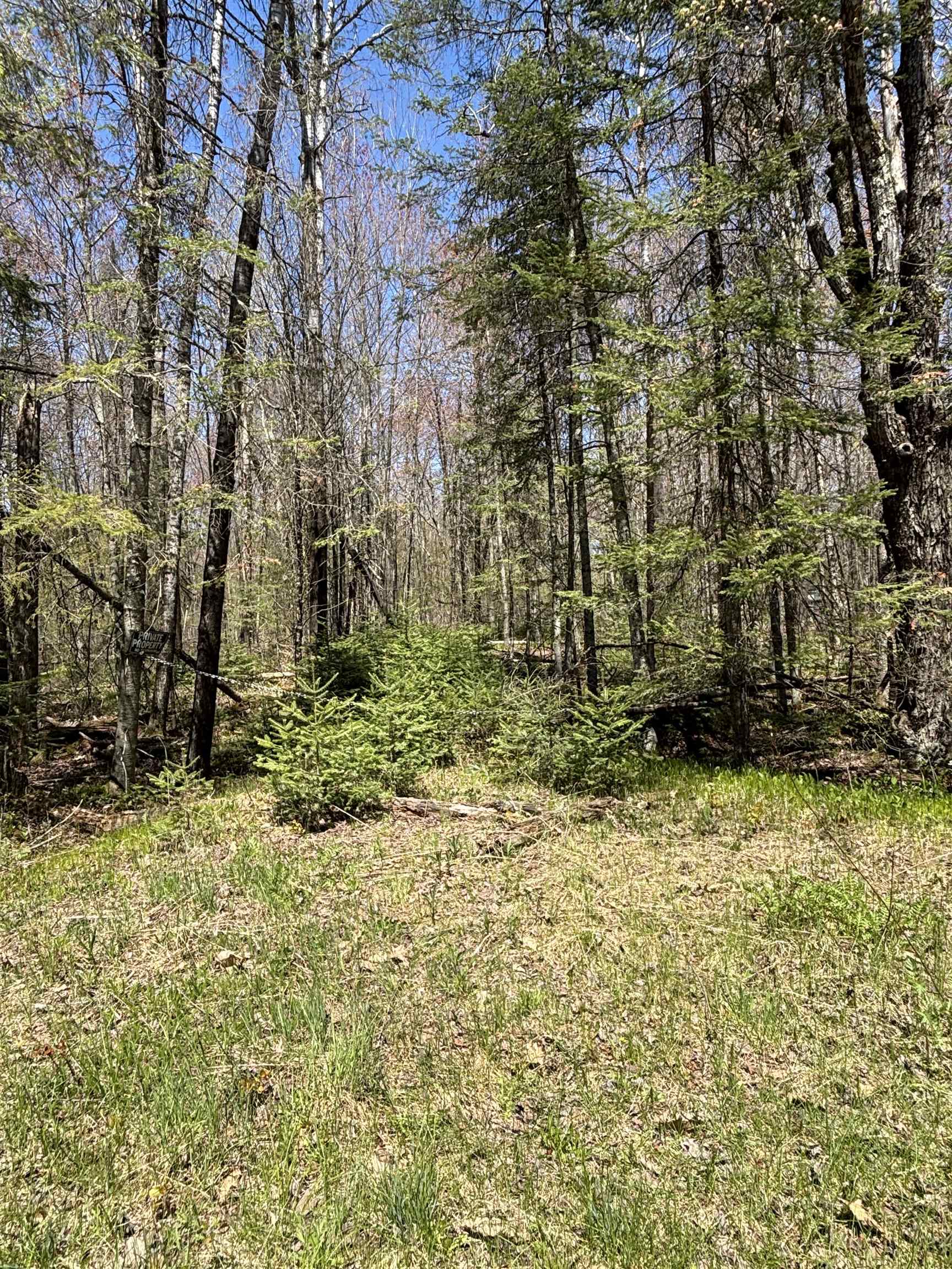 Vascheau Road Gleason, WI 54435 - Photo 1 of 4