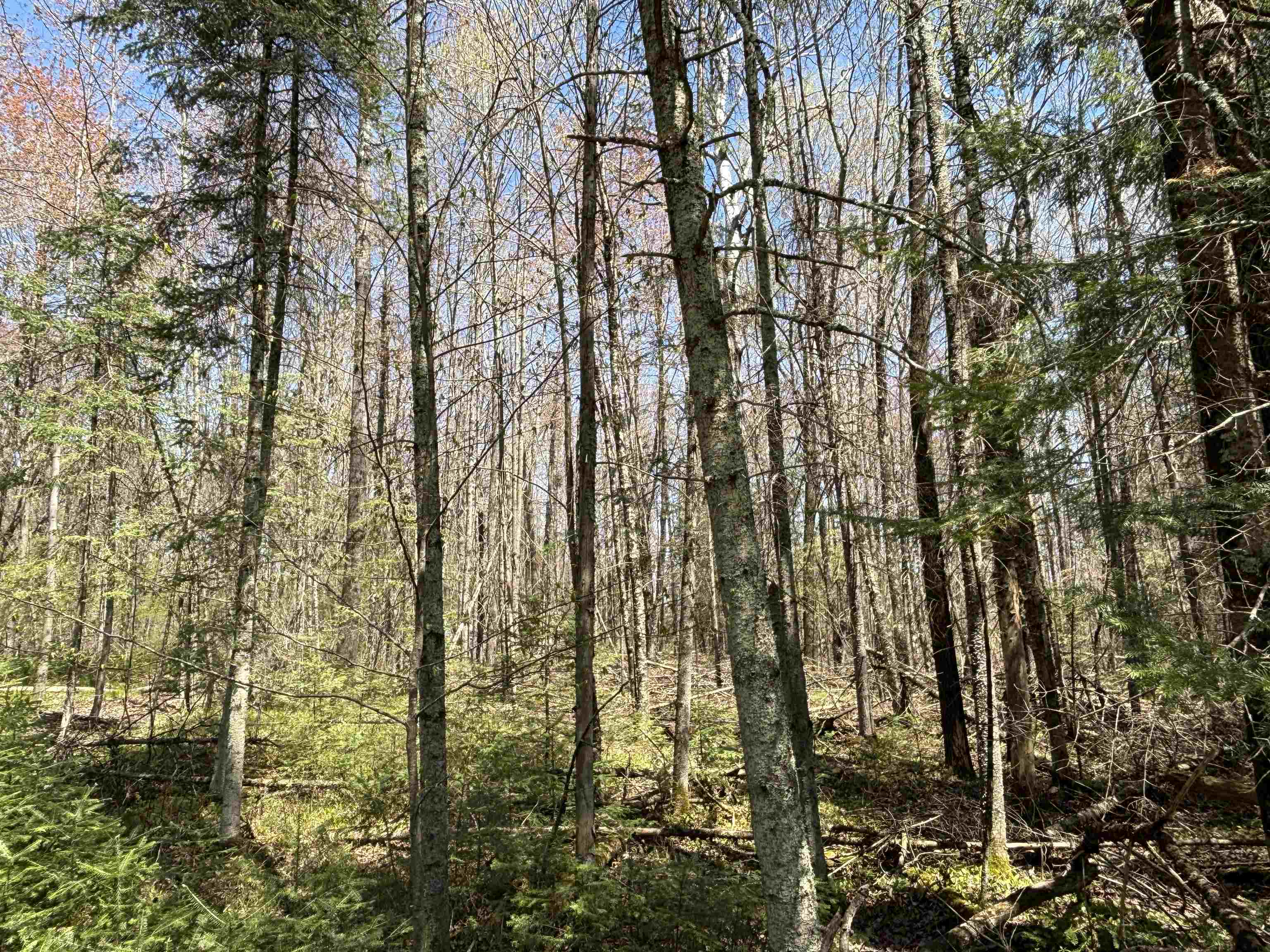 Vascheau Road Gleason, WI 54435 - Photo 2 of 4