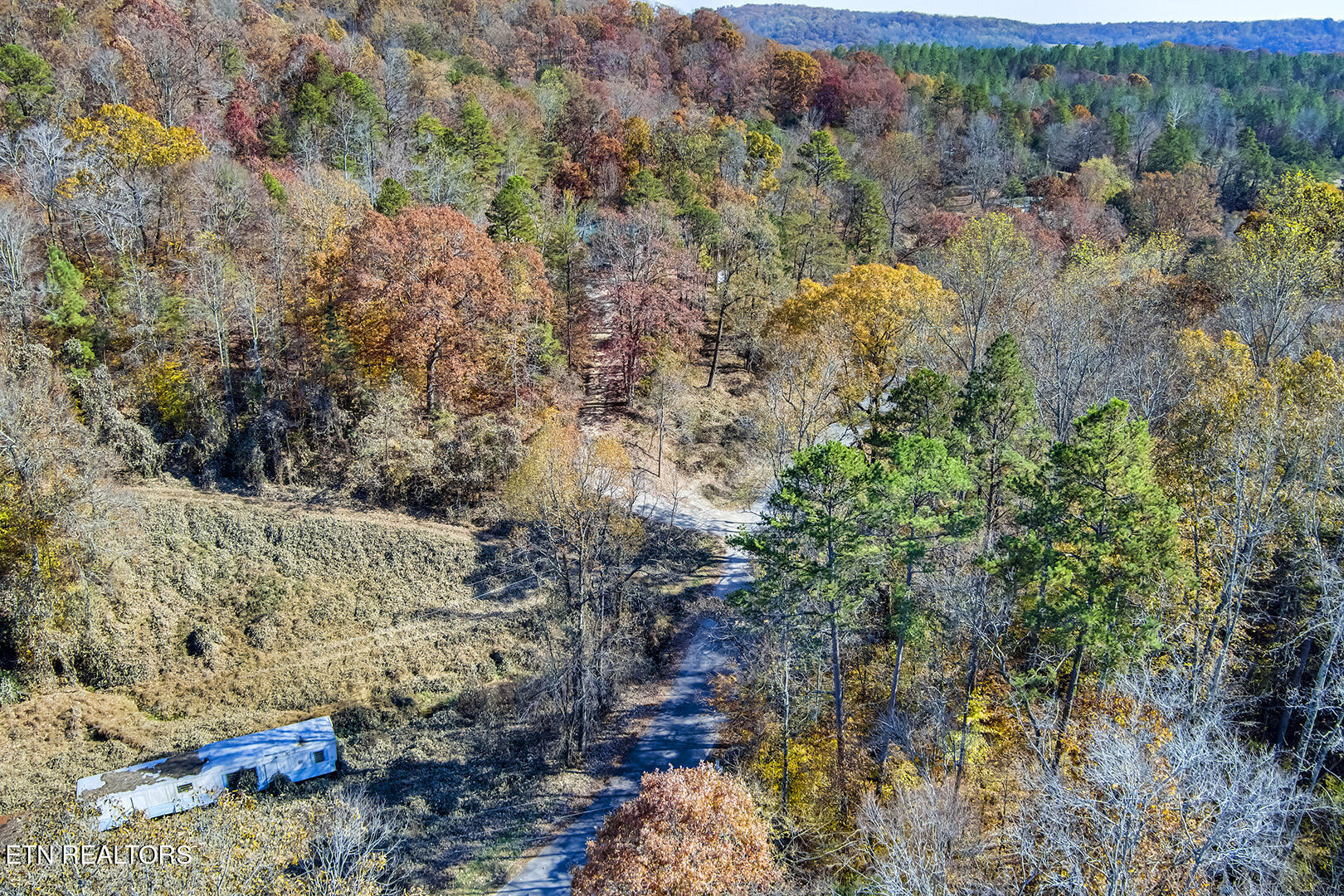 188 County Road Decatur, TN 37322 - Photo 3 of 15 03_CoRd_188_RoadElevated_SE