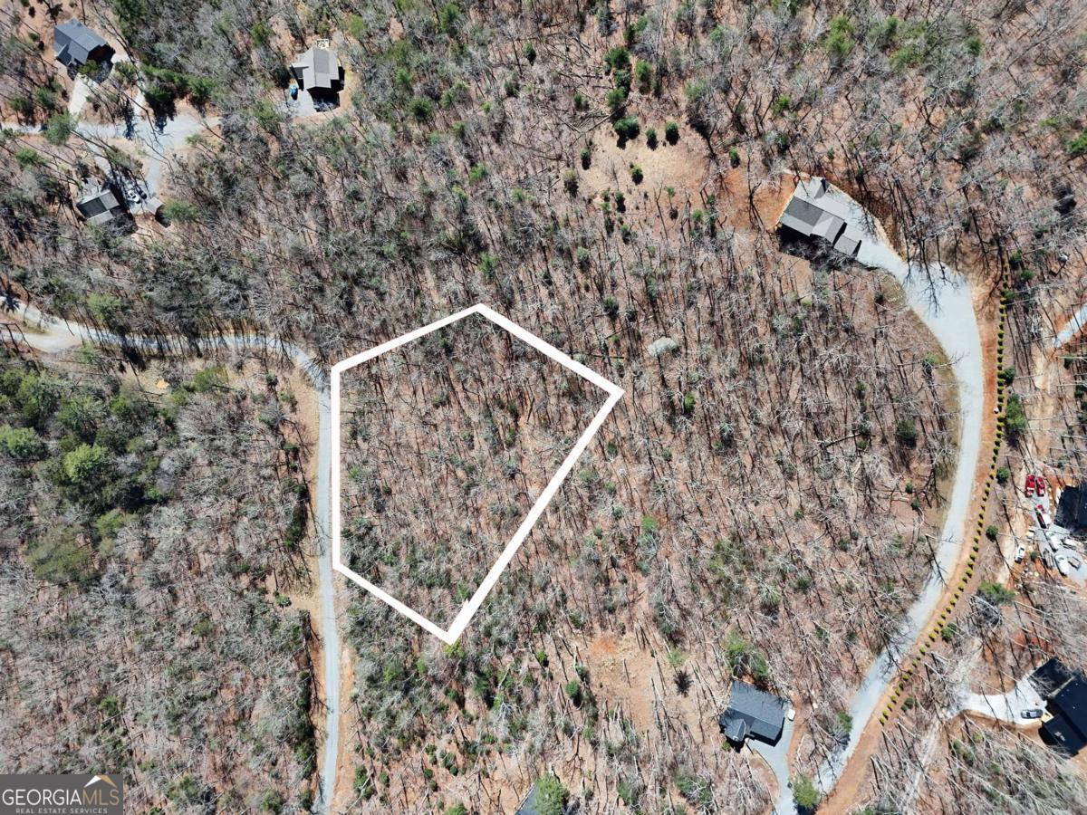 Lot 9 Native Trail Cherry Log, GA 30522 - Photo 6 of 10