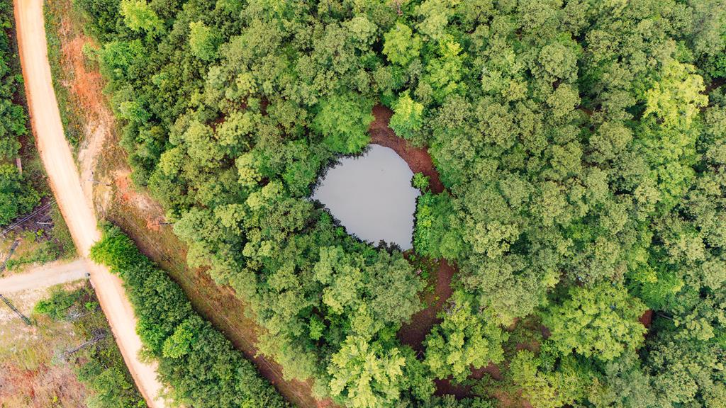 53 Robinson Road Seale, AL 36875 - Photo 5 of 15