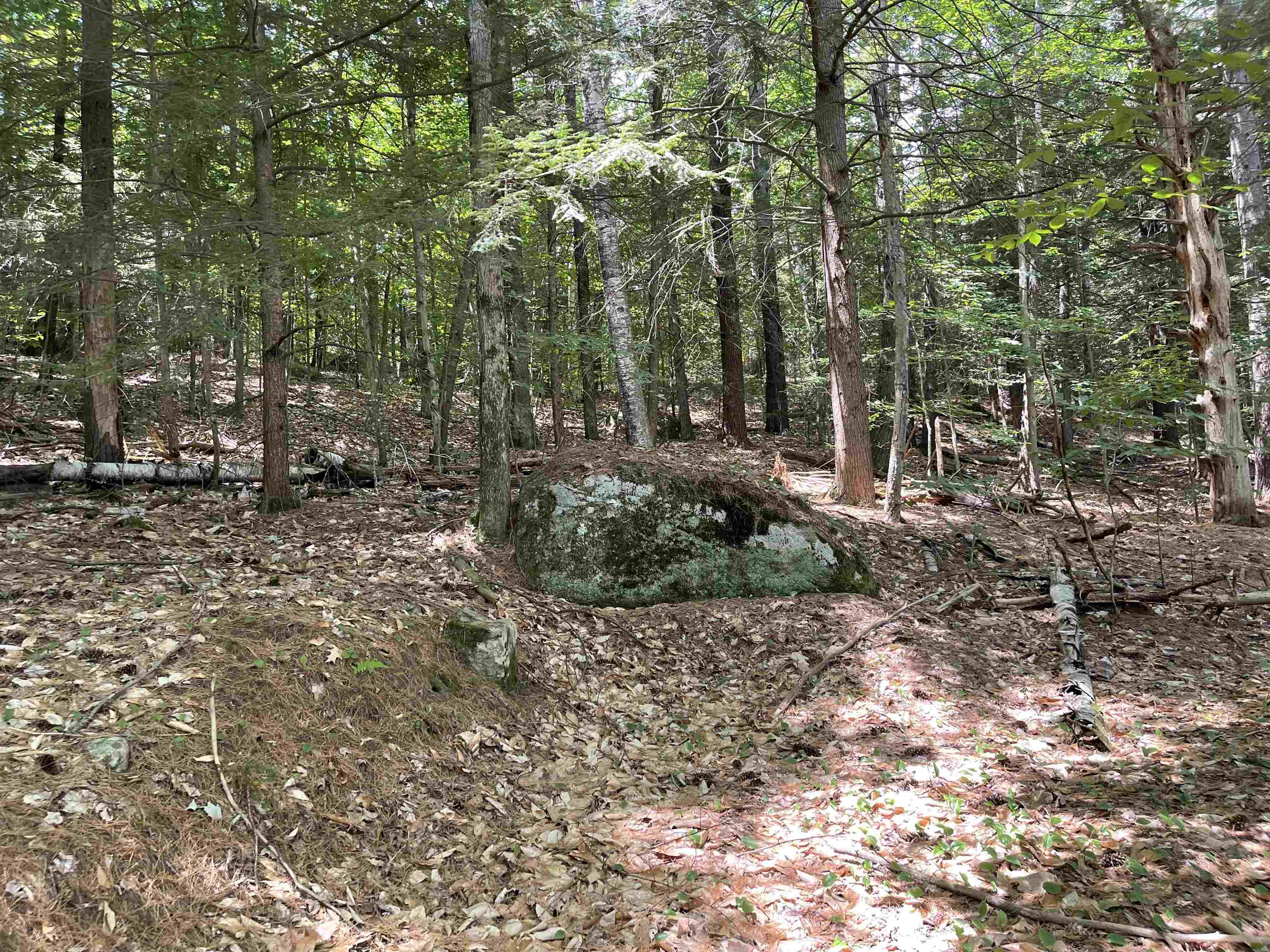 9 Branch Road, Unit 9 Weare, NH 03281 - Photo 15 of 20