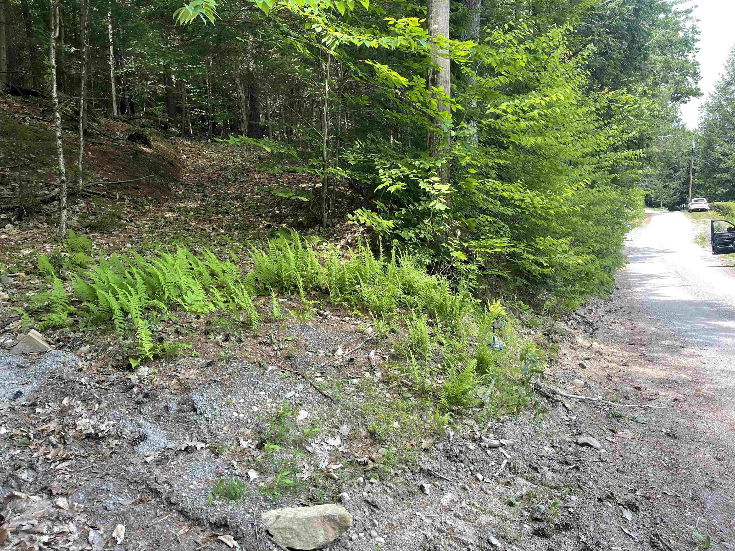 9 Branch Road, Unit 9 Weare, NH 03281 - Photo 18 of 20
