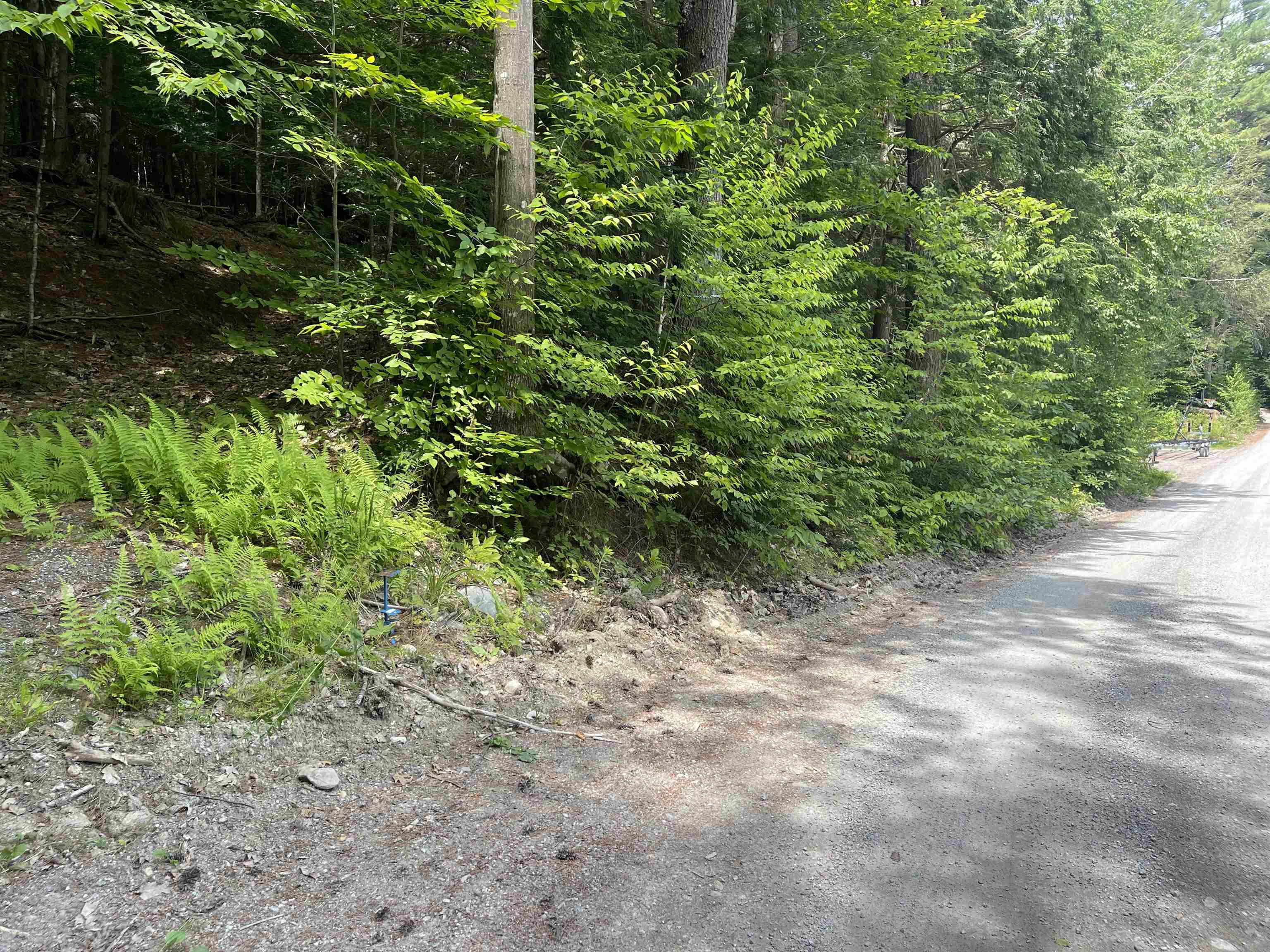 9 Branch Road, Unit 9 Weare, NH 03281 - Photo 4 of 20