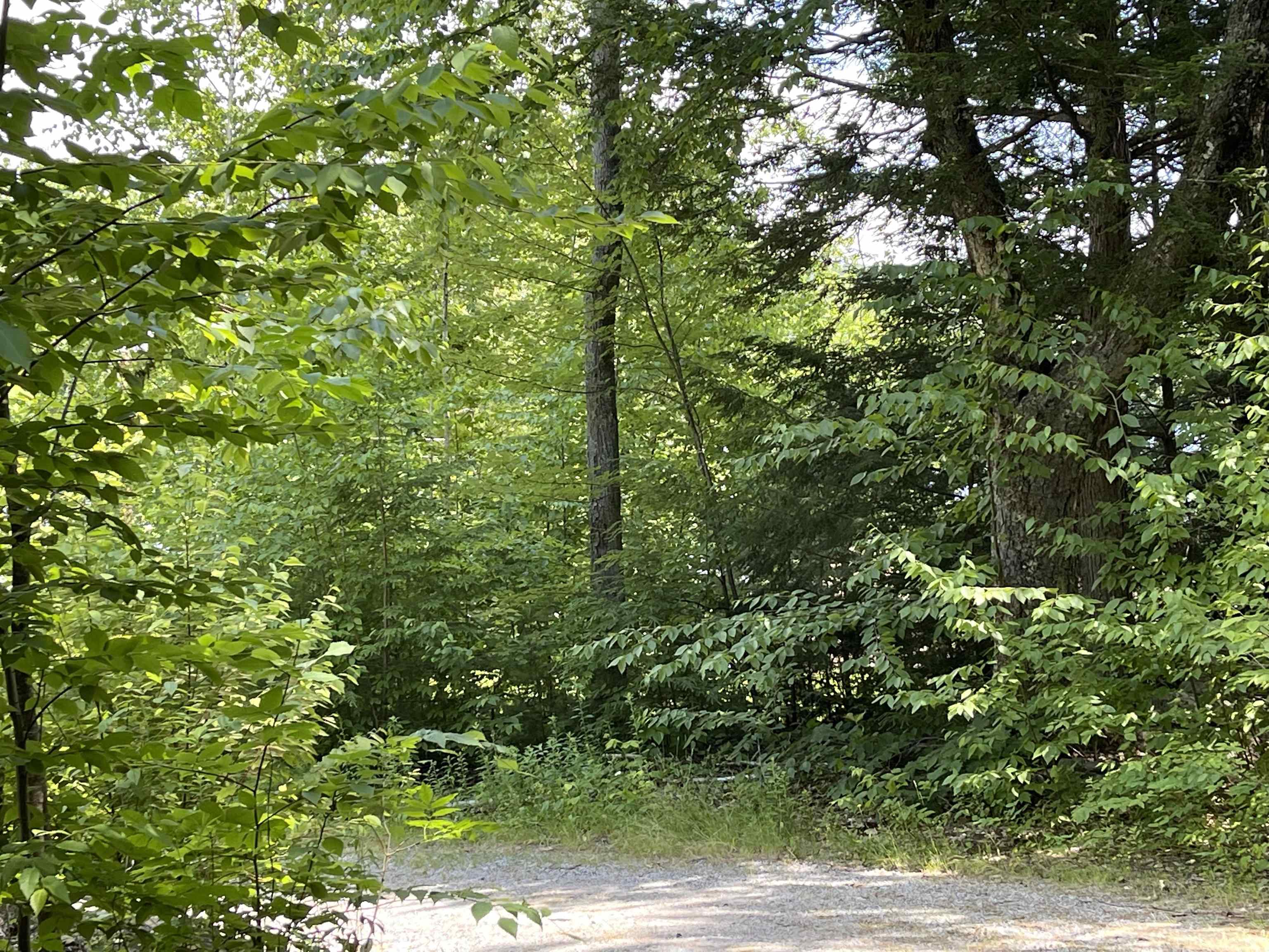 9 Branch Road, Unit 9 Weare, NH 03281 - Photo 6 of 20