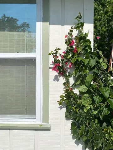 $3,600 | 2433 Lydia Way, New Smyrna Beach, FL 32168