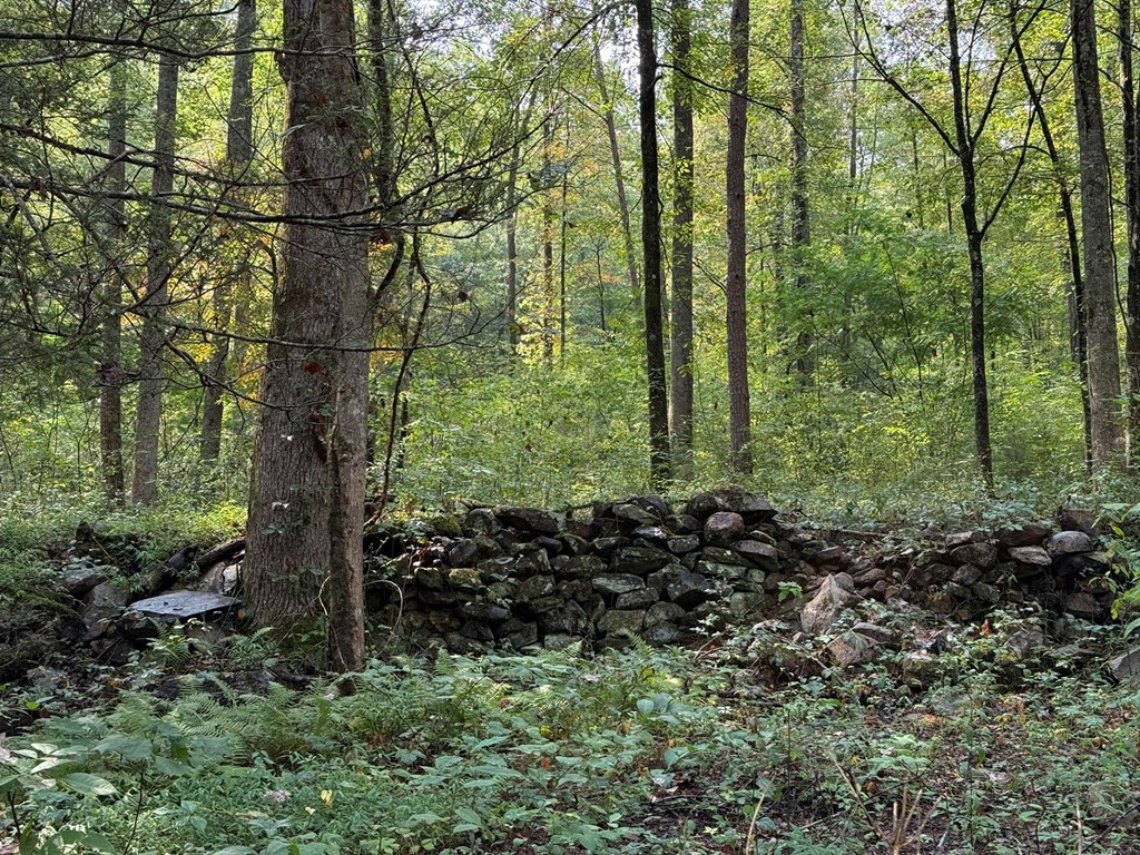 0 Claude Rogers Road Marble, NC 28905 - Photo 15 of 16