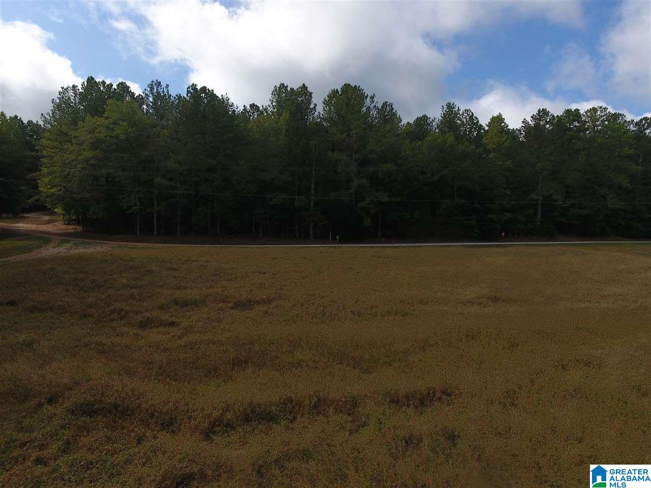 Mill Street Wedowee, AL 36278 - Photo 3 of 4