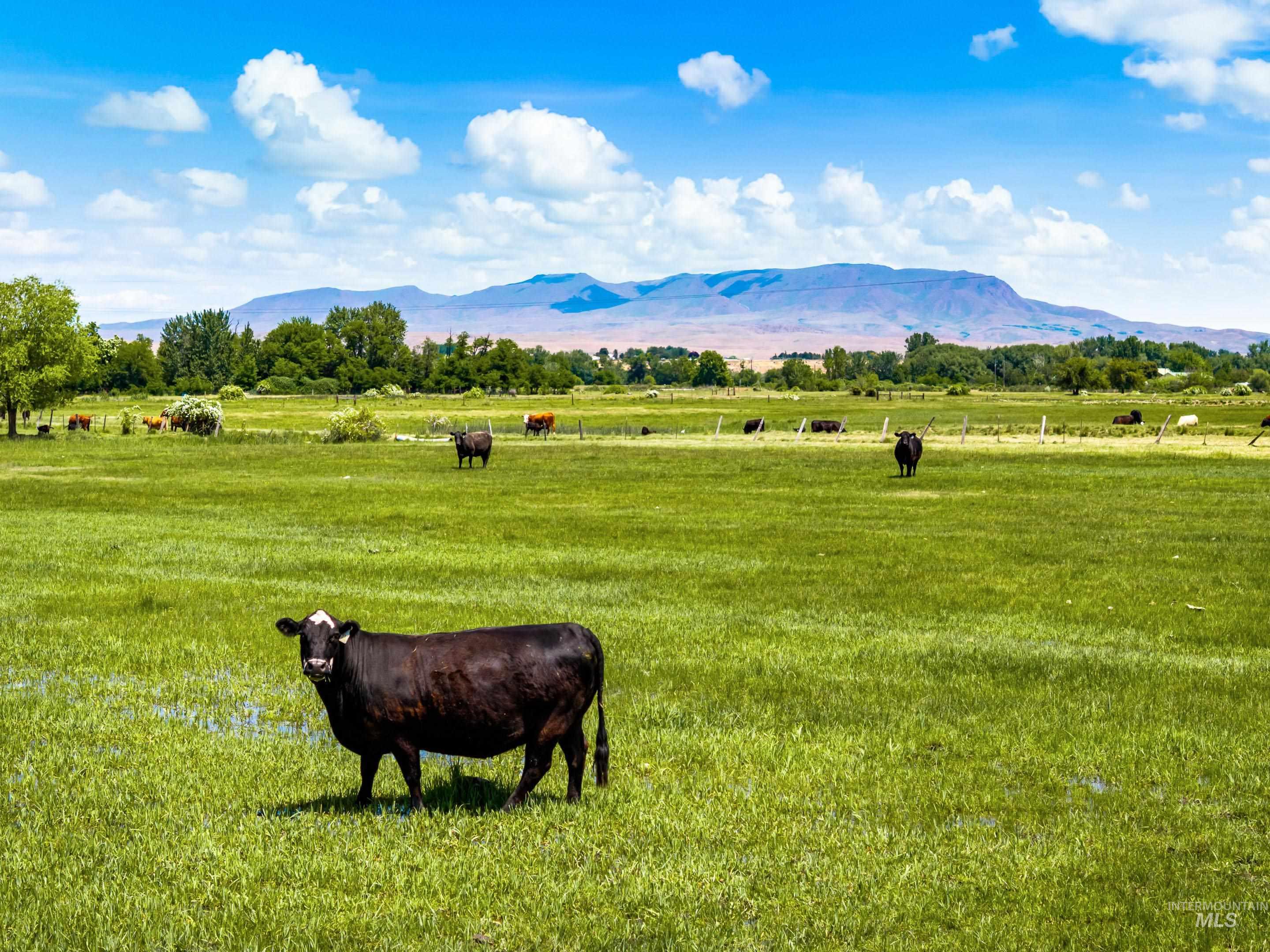 1415 Morehouse Road Emmett, ID 83617 - Photo 44 of 44