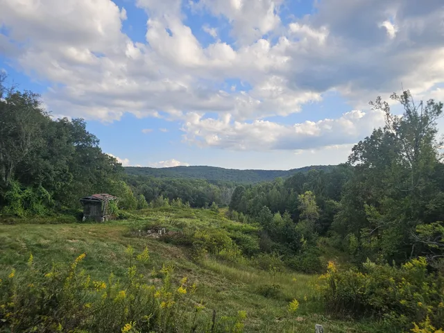 a view of outdoor space and city view