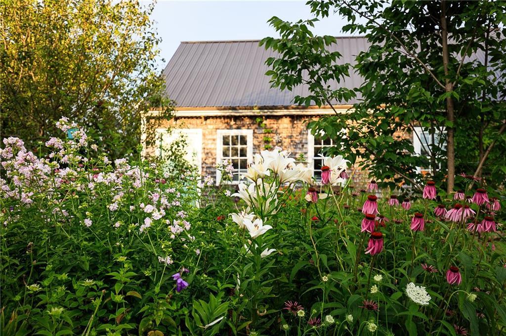 51 Toll Bridge Road Warren, ME 04864 - Photo 30 of 35 Peering through the flowers at the...