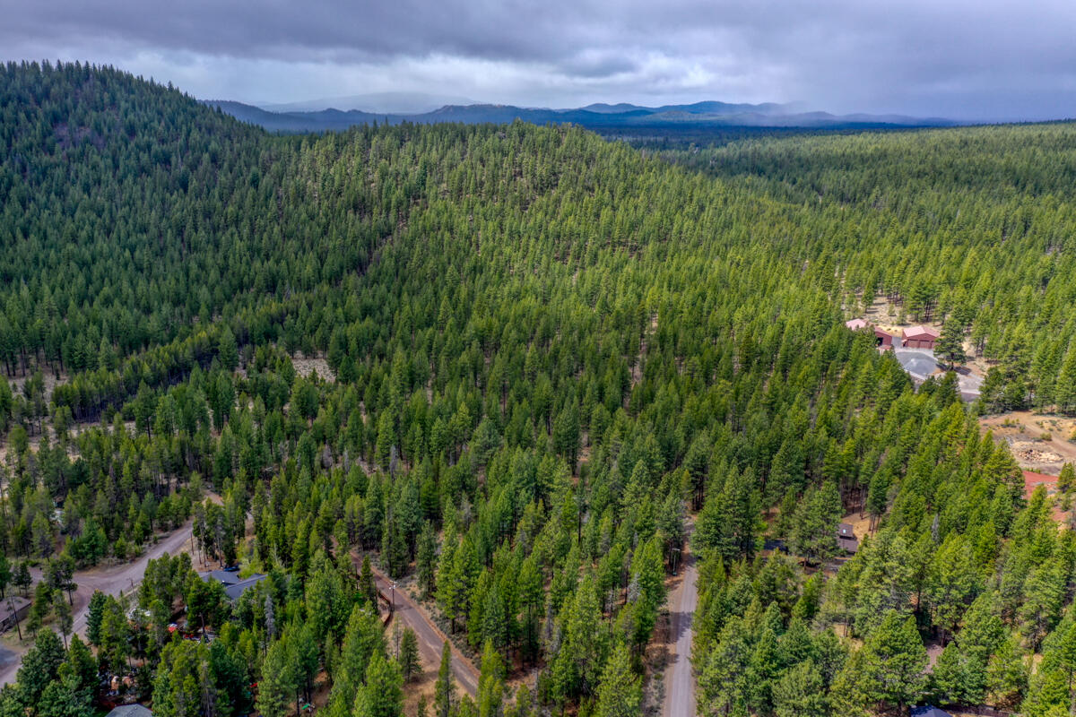 16811 Covina Road Bend, OR 97707 - Photo 31 of 32 DJI_0311