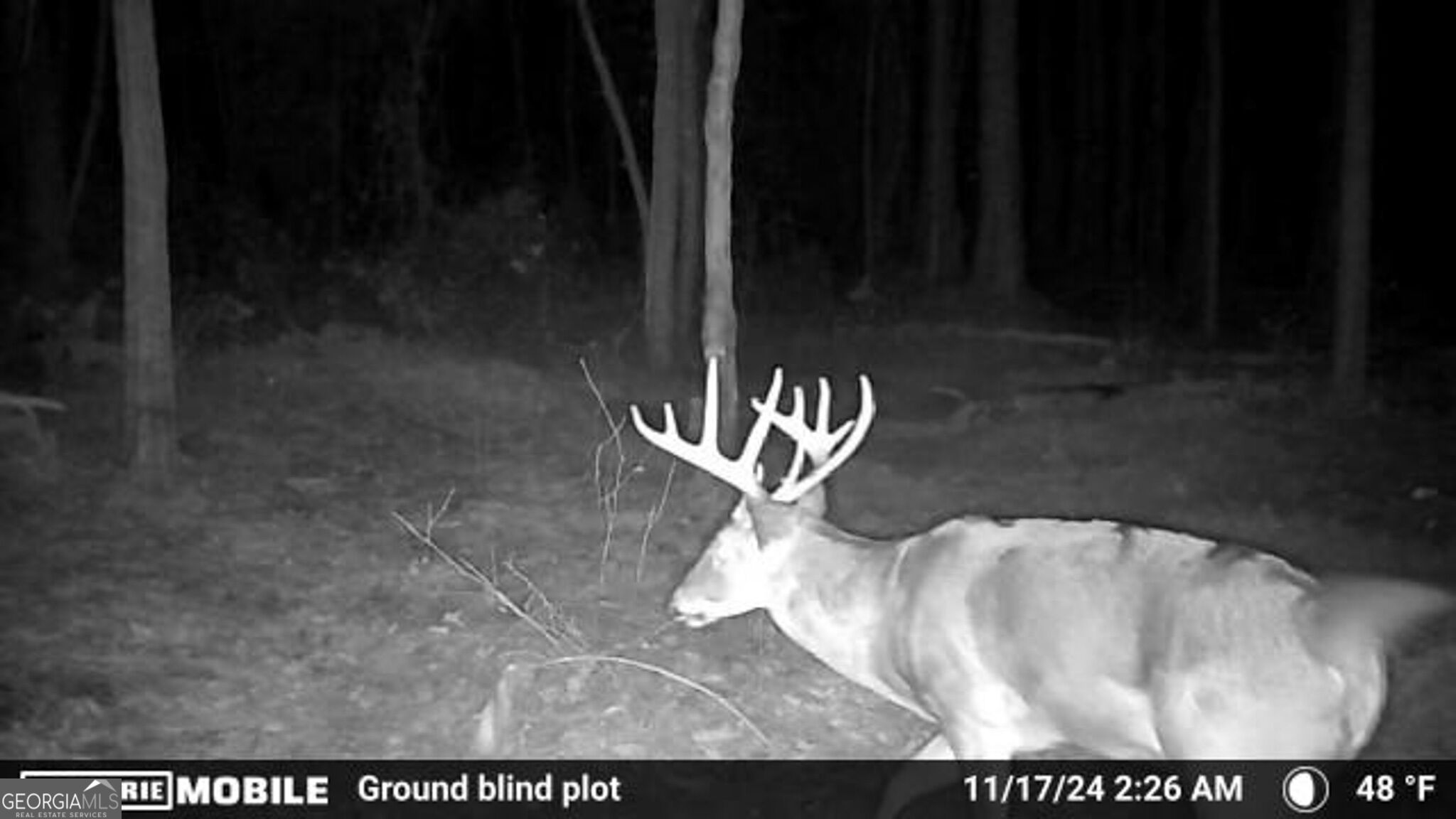0 Sam Bradley Road Americus, GA 31709 - Photo 25 of 37 Gallery Image 25