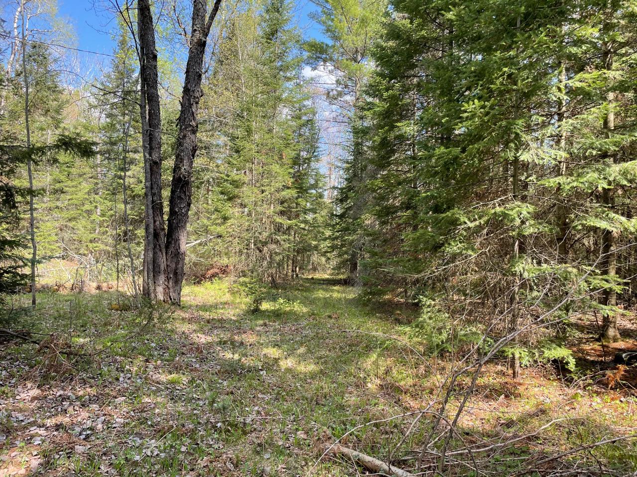 8 Rhinelander Wi 54501 Rhinelander, WI 54501 - Photo 2 of 7 Gallery Image 2