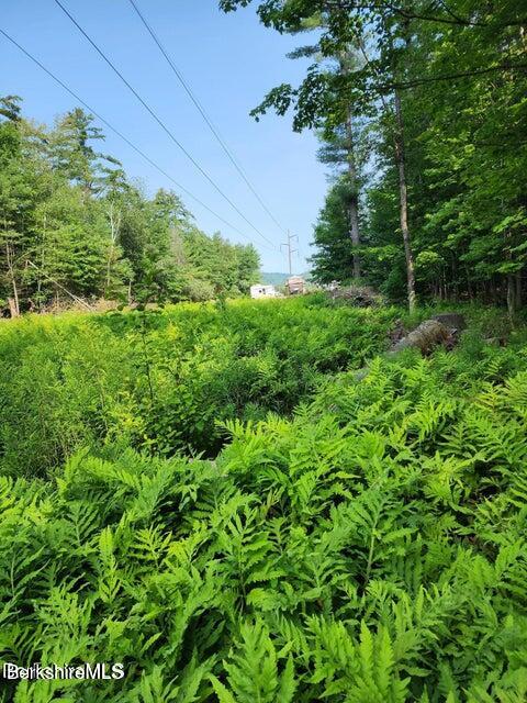 Cross Road Clarksburg, MA 01247 - Photo 2 of 4 a view of a garden