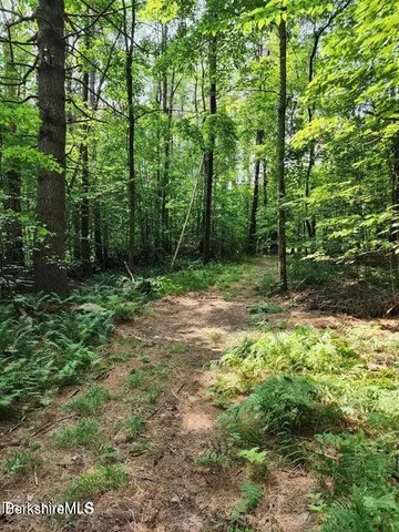 a view of outdoor space with trees all around