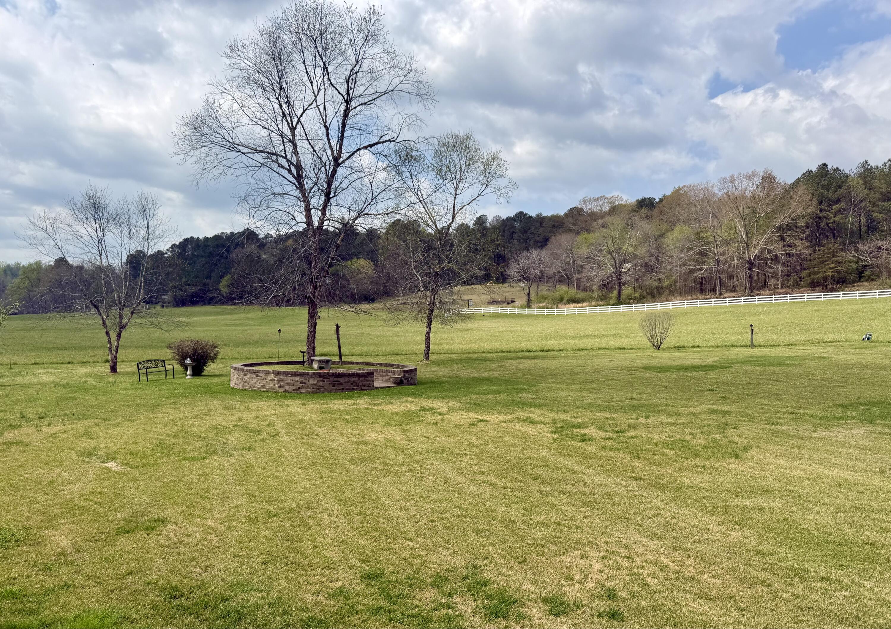 1597 Back Berryton Road Summerville, GA 30747 - Photo 47 of 51 Front Yard