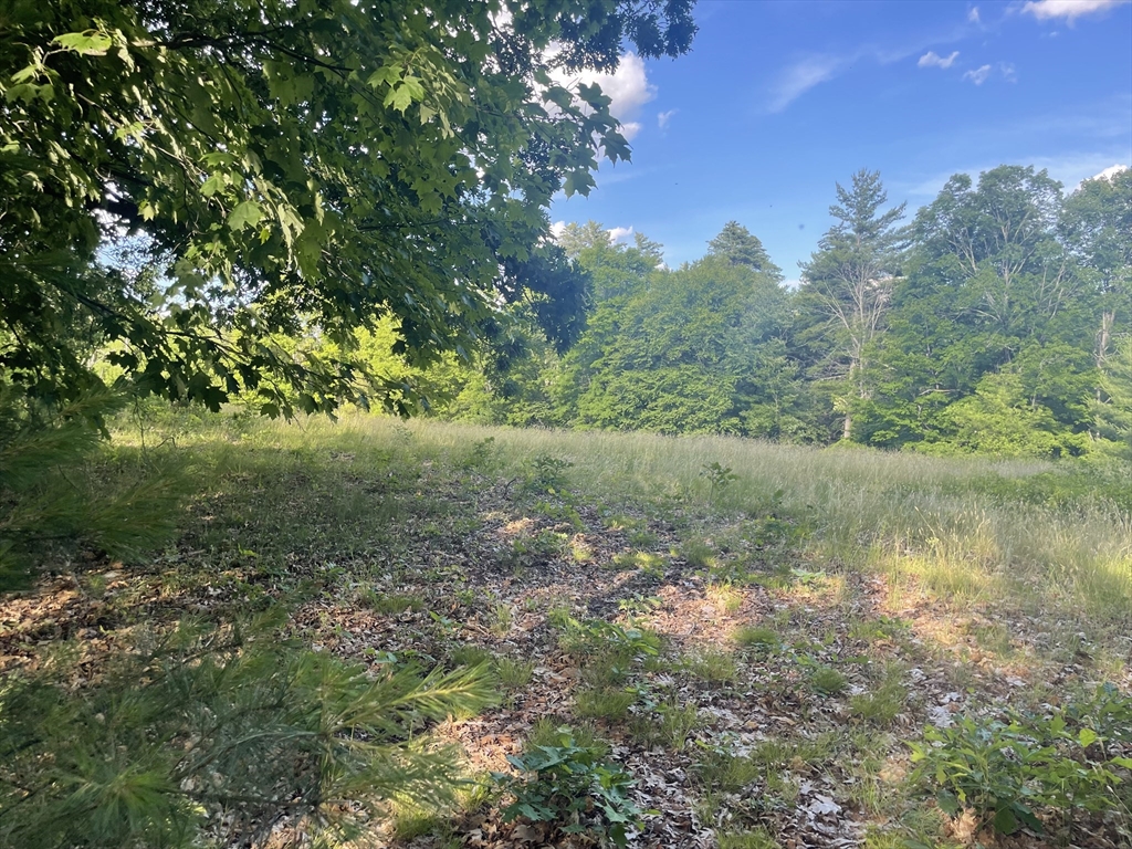 Lot 0 Mason Road Ashby, MA 01431 - Photo 3 of 4