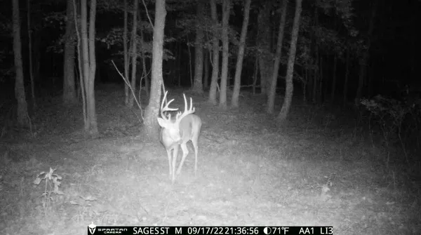 $549,900 | 2423 9th Drive, Adams, WI 53910