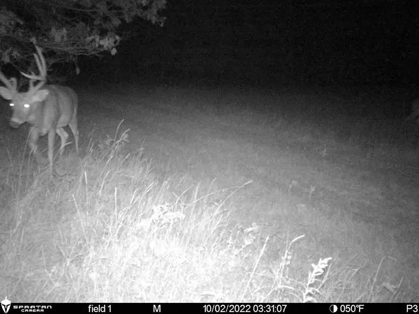 $549,900 | 2423 9th Drive, Adams, WI 53910