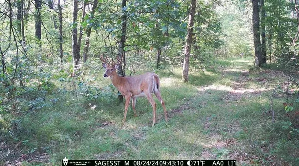 $549,900 | 2423 9th Drive, Adams, WI 53910