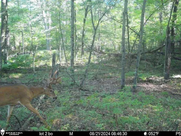 $549,900 | 2423 9th Drive, Adams, WI 53910