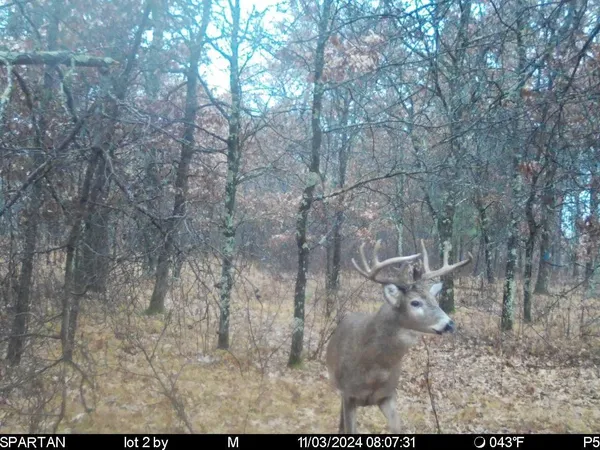 $549,900 | 2423 9th Drive, Adams, WI 53910