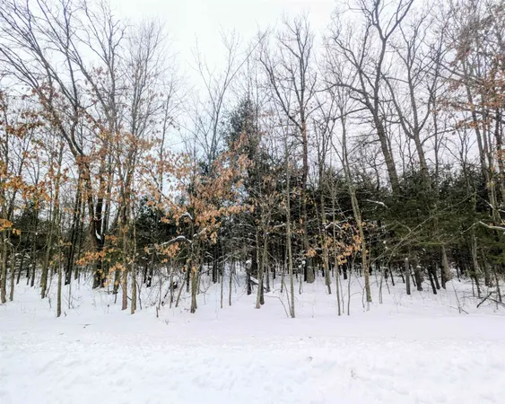 $549,900 | 2423 9th Drive, Adams, WI 53910