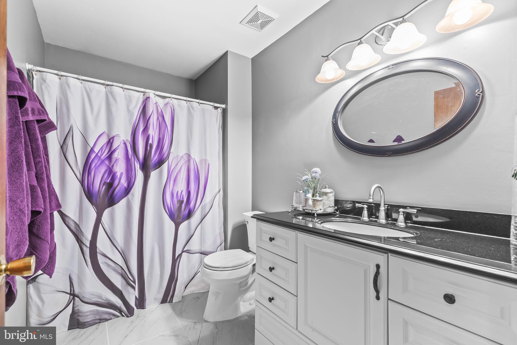 213 King James Road Upper Marlboro, MD 20774 - Photo 22 of 39 a bathroom with a toilet sink vanity granite and mirror