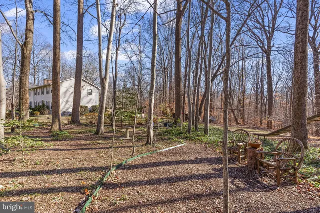 a backyard of a house with lots of green space
