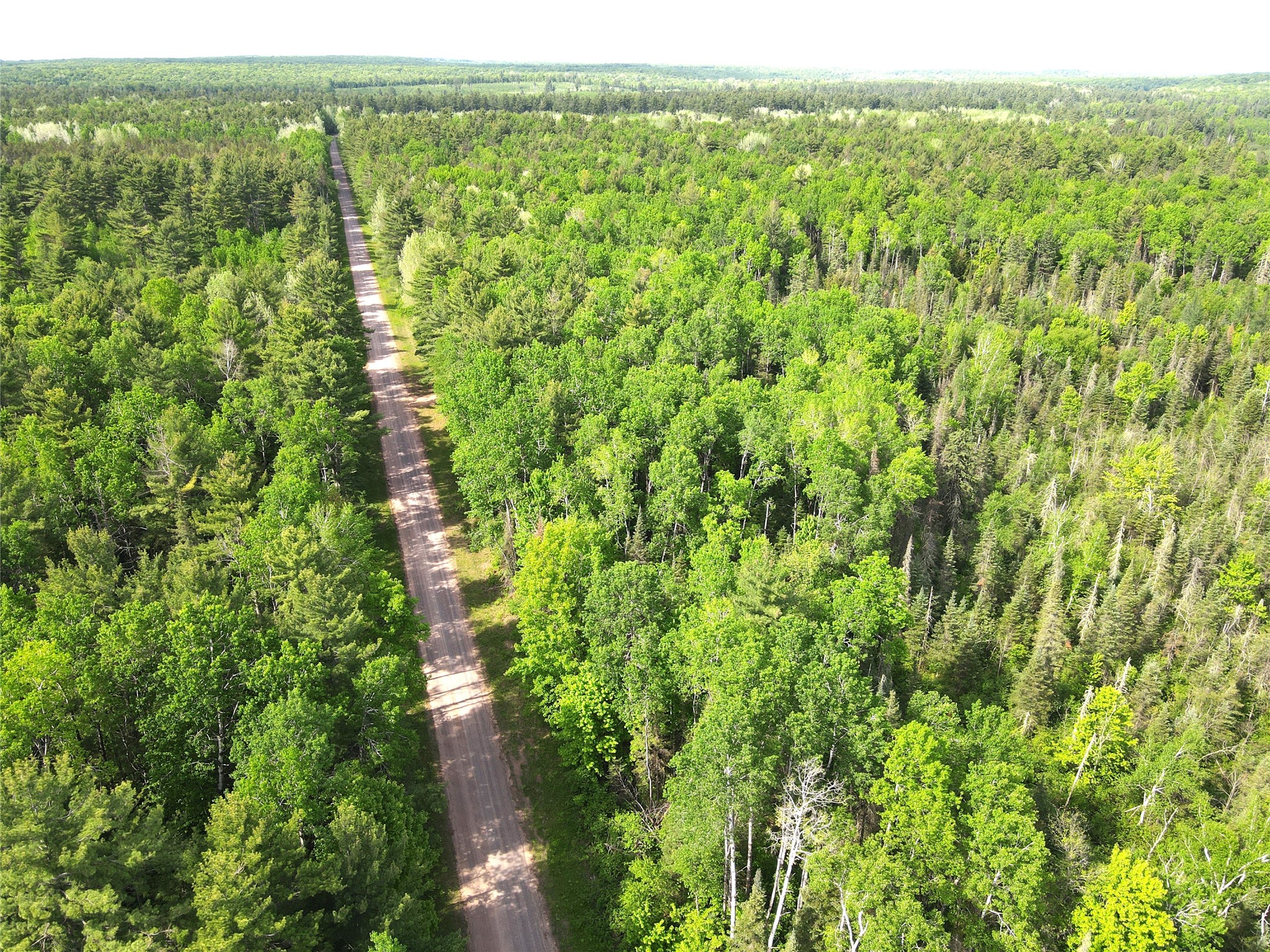 Lot 1 North Smith Road Couderay, WI 54828 - Photo 16 of 29