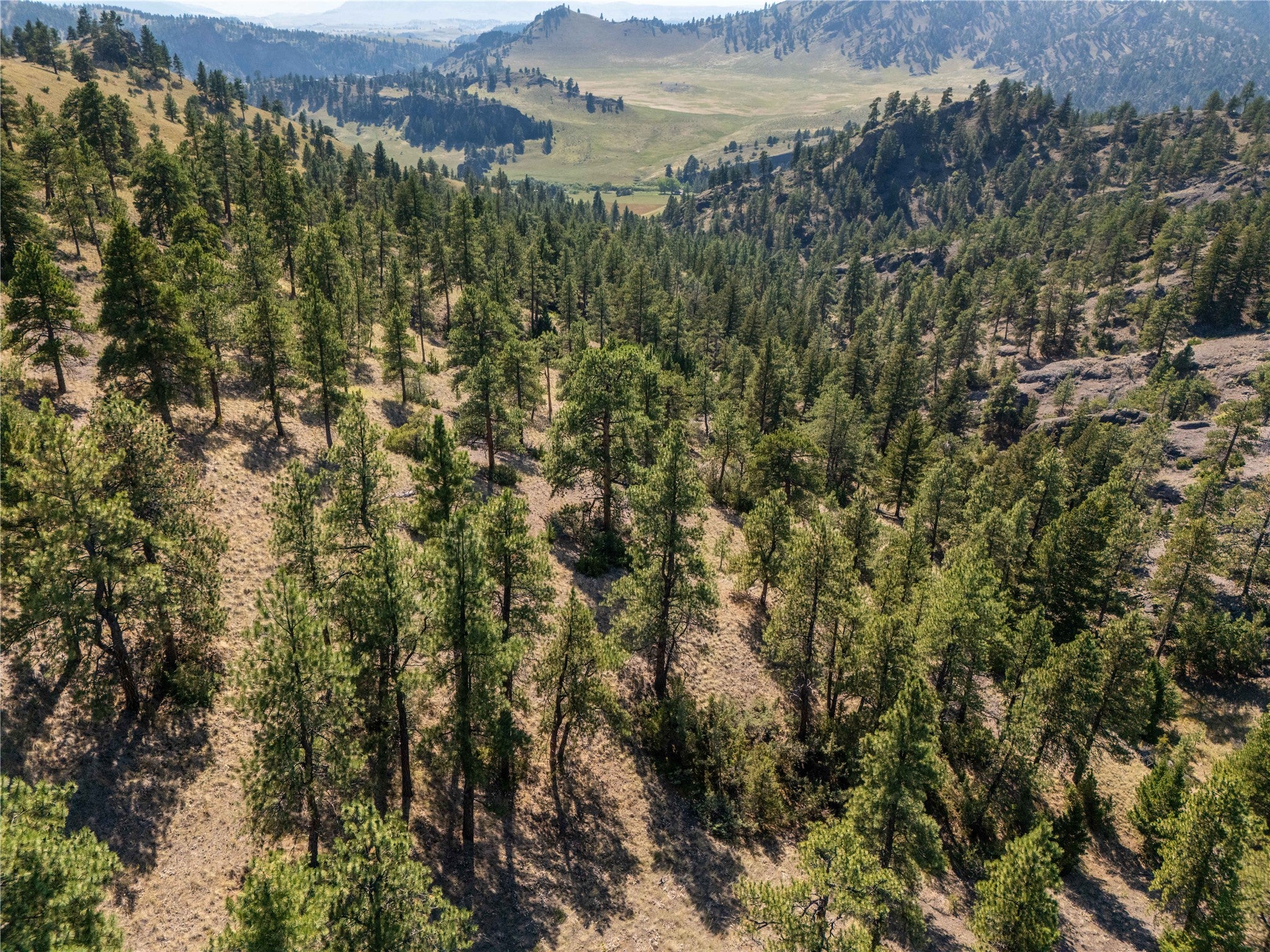 16 Loggers Lane Cascade, MT 59421 - Photo 22 of 55 Gallery Image 22