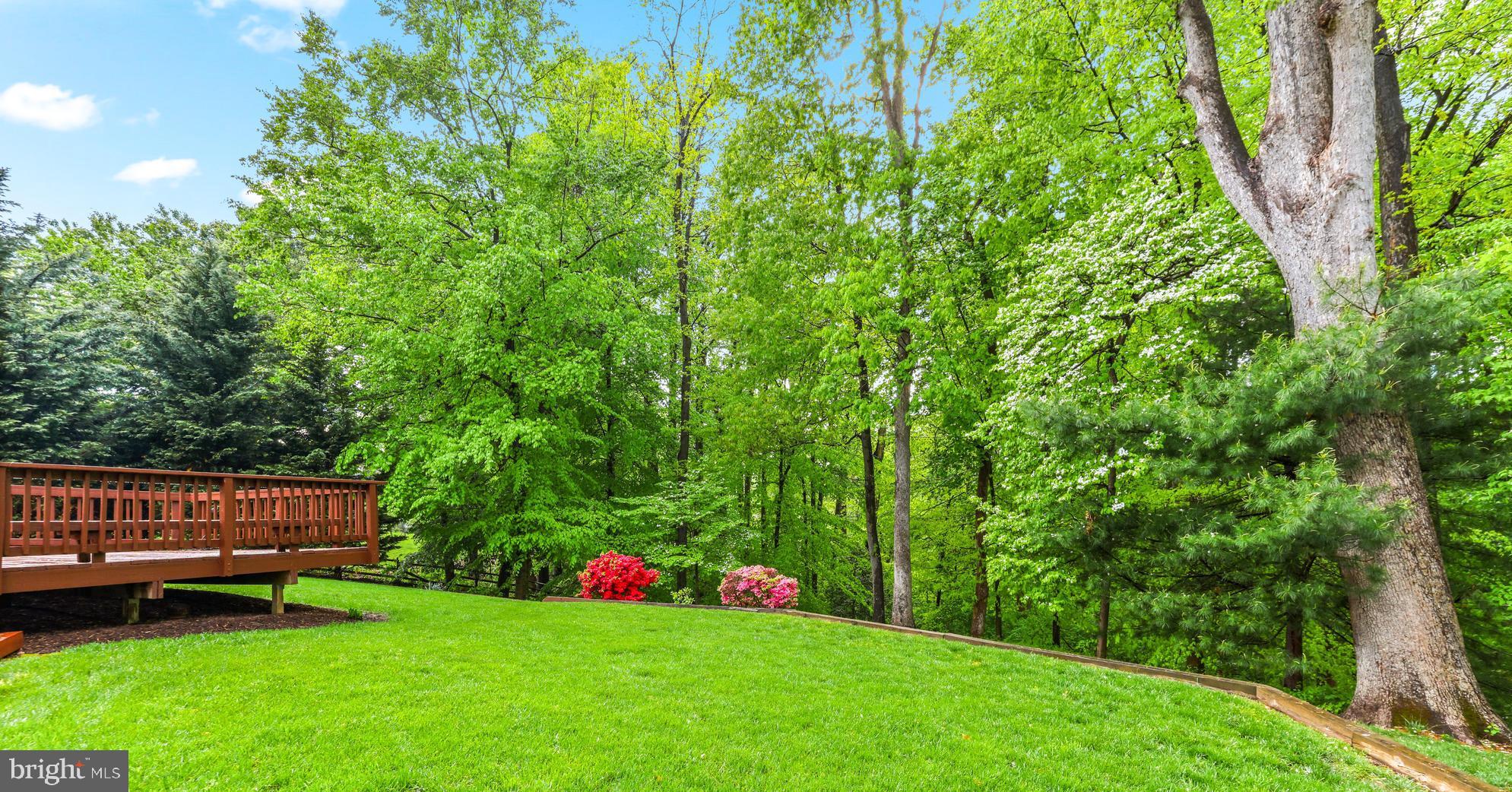 1074 Foxcroft Run Annapolis, MD 21401 - Photo 48 of 66 A peaceful, park-like setting