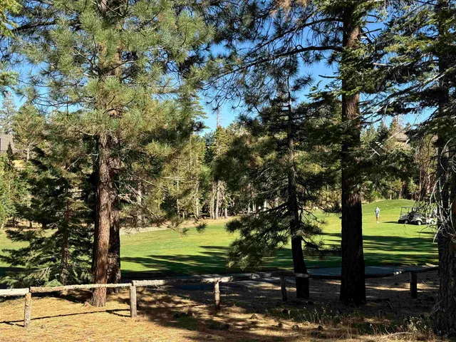 a view of outdoor space with swimming pool and trees