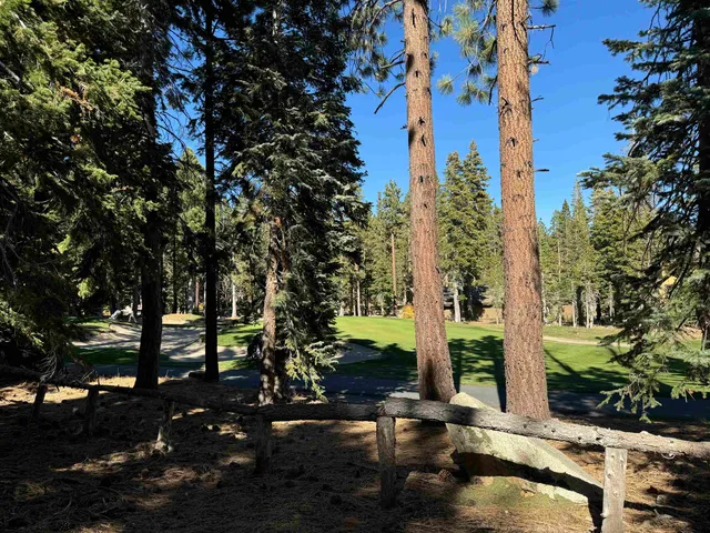 a view of outdoor space with lots of trees