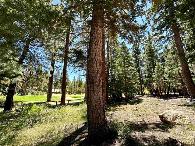 a view of yard covered with snow