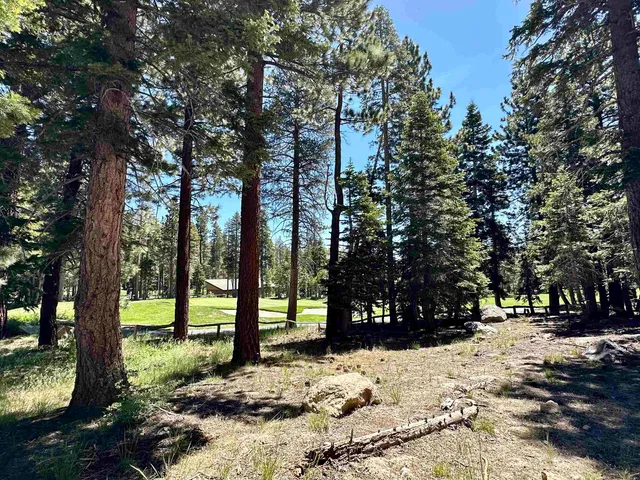 a view of backyard with green space
