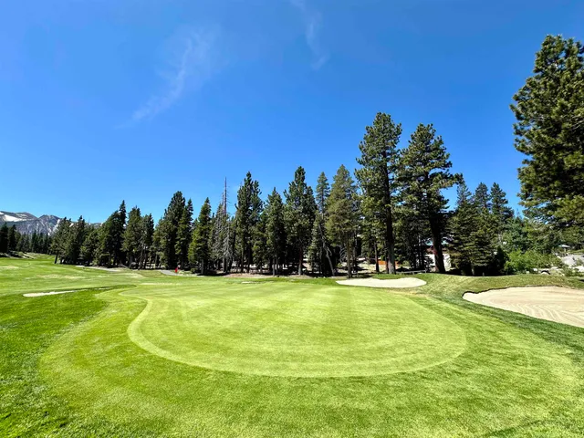 a view of a tennis ground with trees in the background