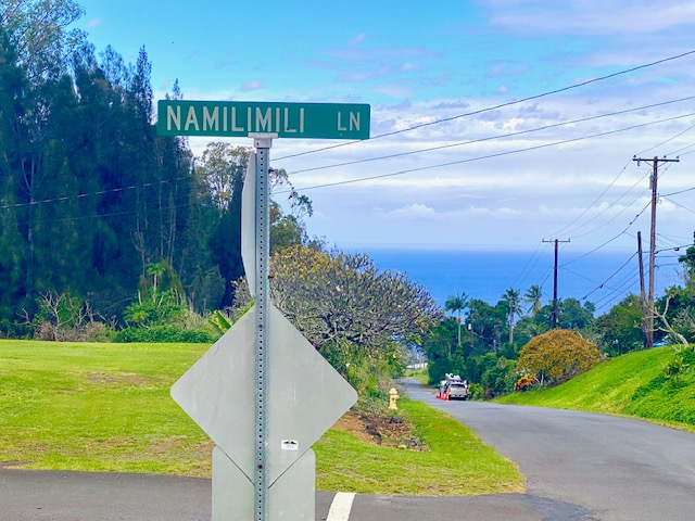 43-971 Namilimili Lane Paauilo, HI 96776 - Photo 11 of 13 a view of a garden with a building in the background