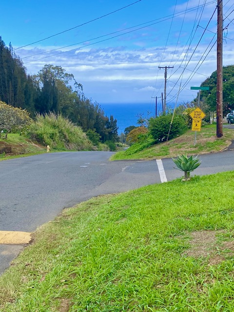 43-971 Namilimili Lane Paauilo, HI 96776 - Photo 12 of 13 a view of a yard with an outdoor space