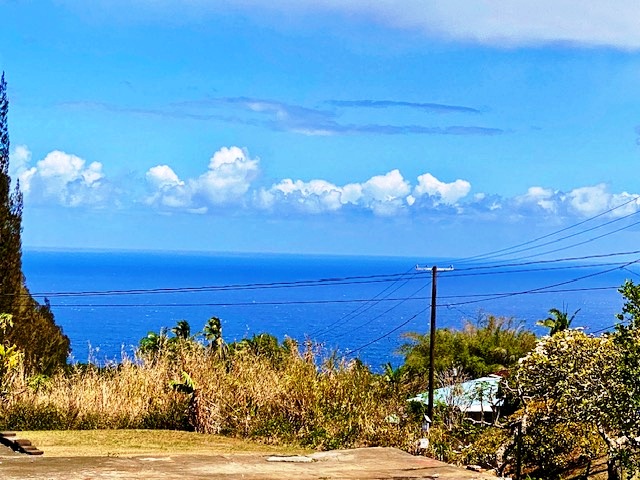 43-971 Namilimili Lane Paauilo, HI 96776 - Photo 13 of 13 a view of a yard with an ocean view