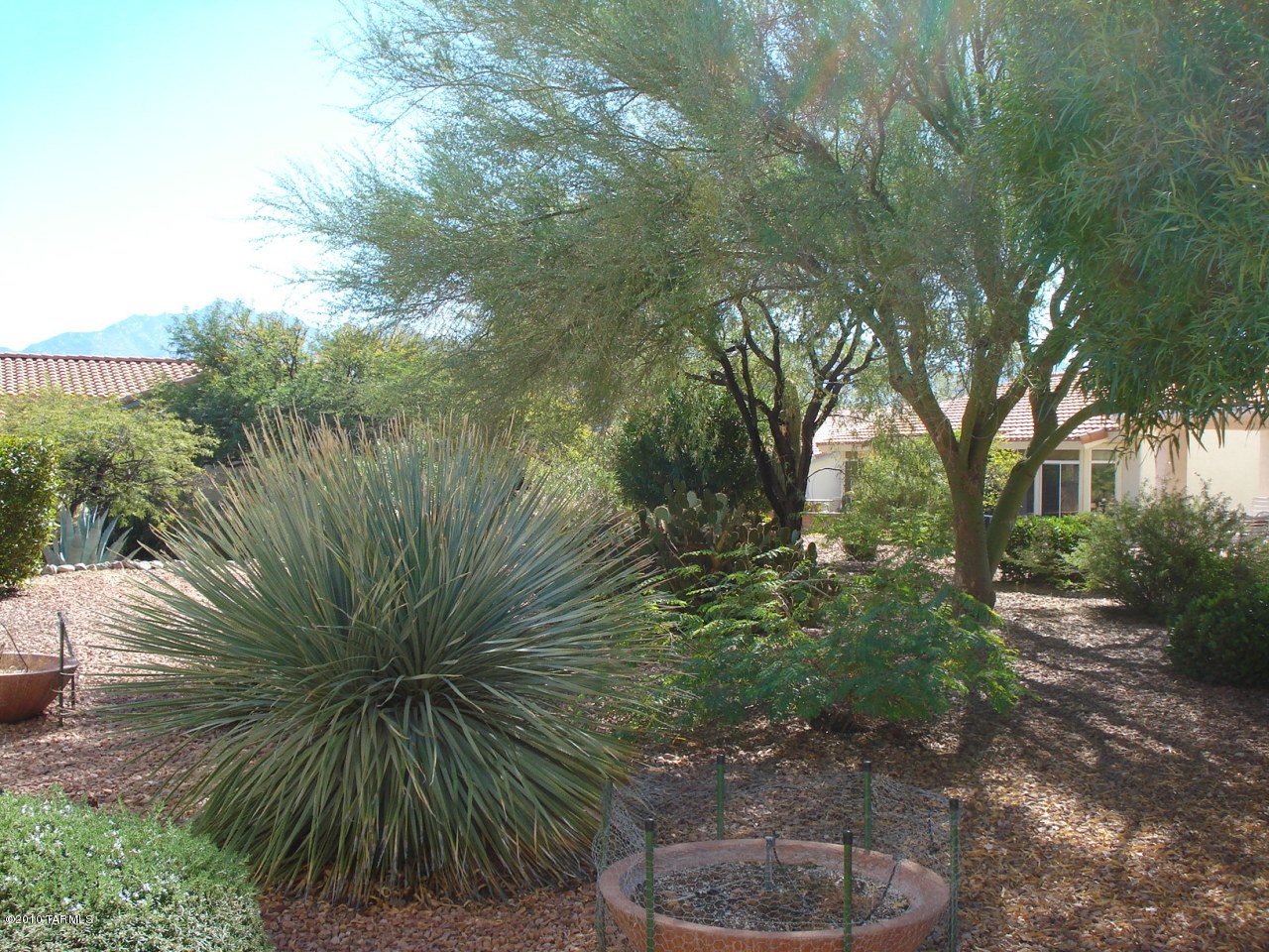 940 East Royal Ridge Drive Tucson, AZ 85755 - Photo 7 of 9