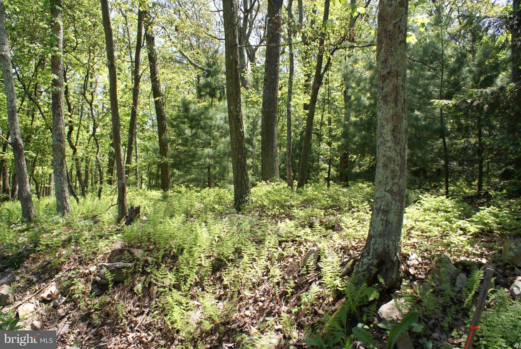 0 Mt Union Road Fayetteville, PA 17222 - Photo 2 of 2 View