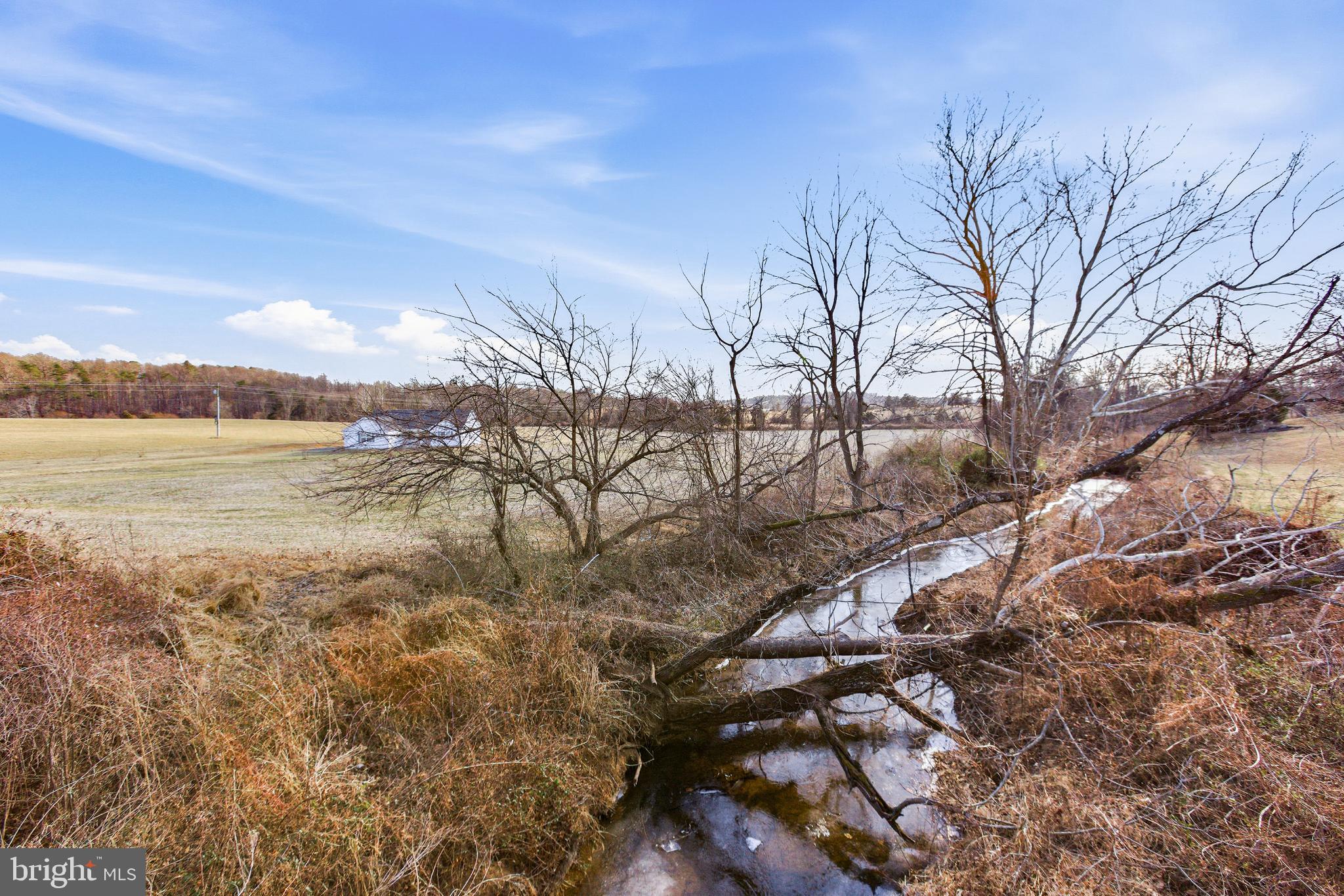5810 West Hoover Road Reva, VA 22735 - Photo 25 of 25 a view of lake with lots of trees