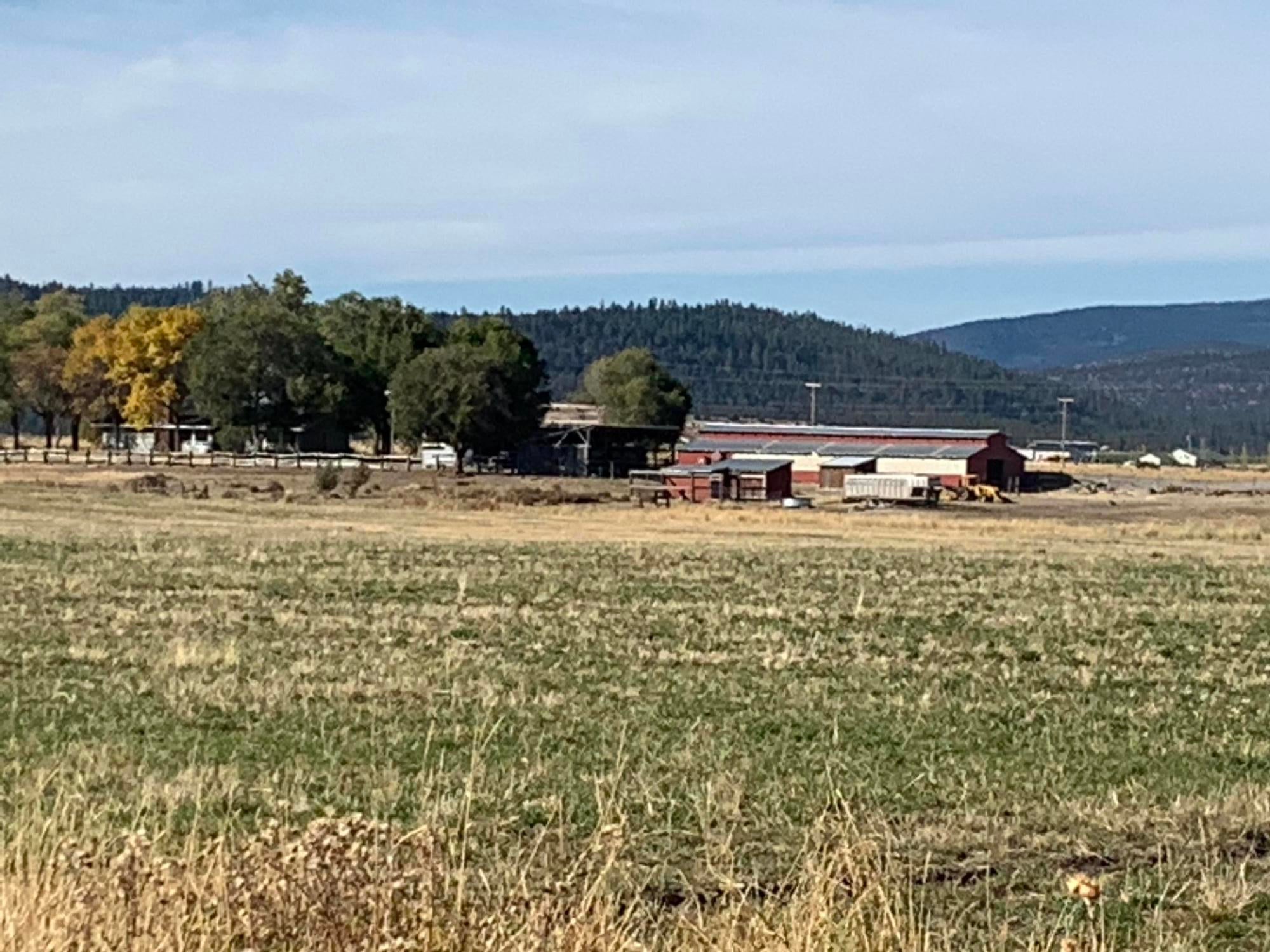 12485 West Side Road Lakeview, OR 97630 - Photo 20 of 48 fall feed
