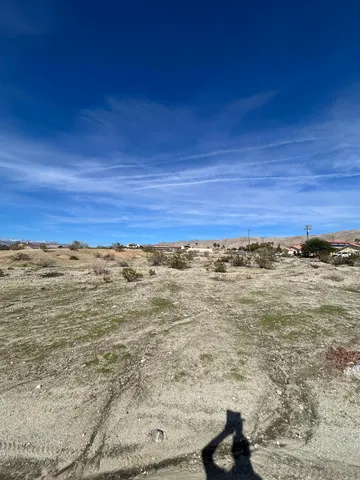 a view of a dry yard